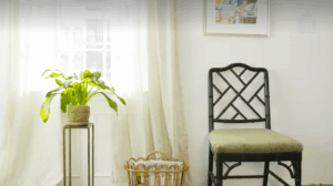 chair and houseplant decorations in house