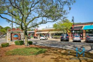 chicago shopping center
