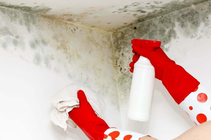 gloved hands spraying molding walls with cleaning solution