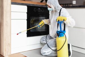 Exterminator spraying kitchen