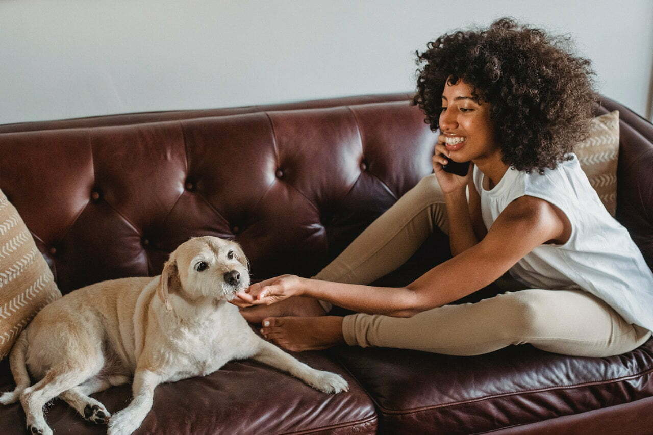 woman on phone petting dog