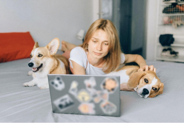 woman looking at laptop sitting by two dogs