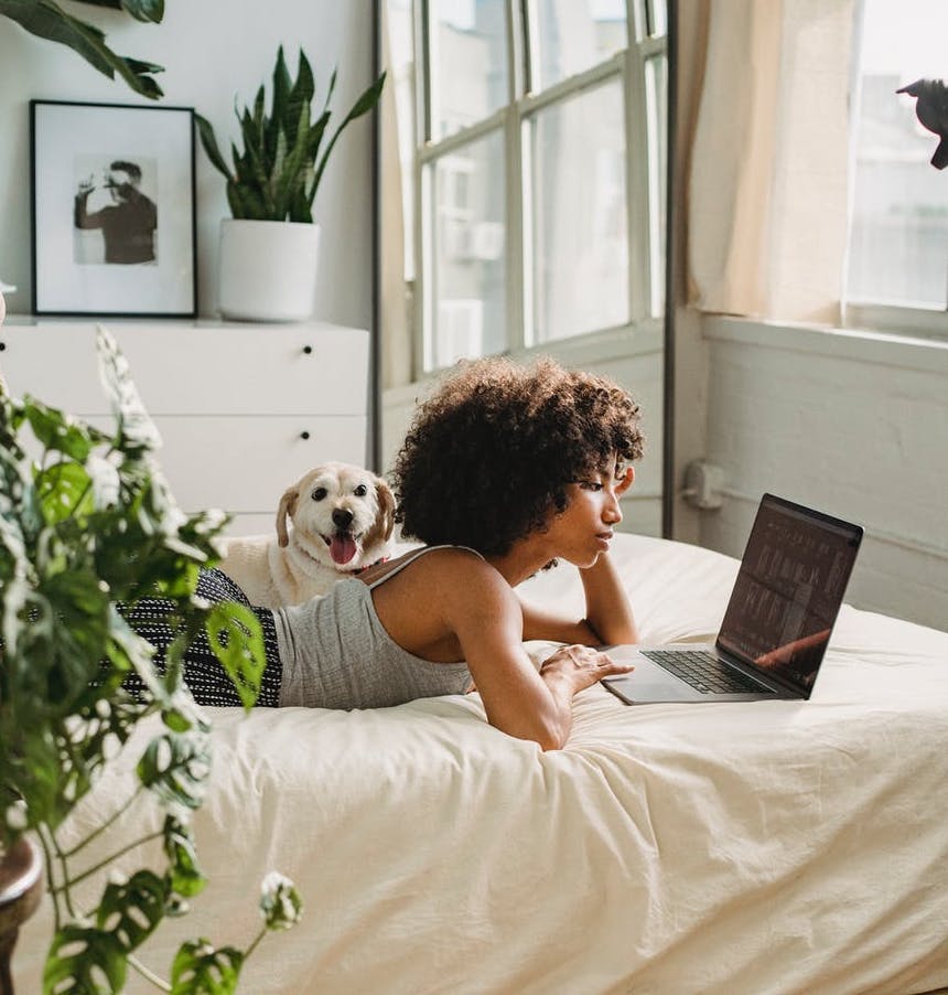 woman looking at computer lying on bed next to dog
