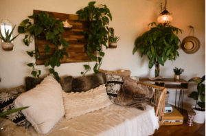 boho style apartment with plants