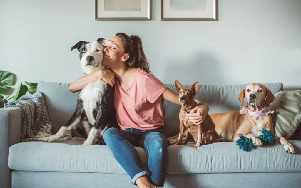 Woman sits on a gray sofa hugging a large black-and-white dog; two smaller dogs sit beside them on the couch.